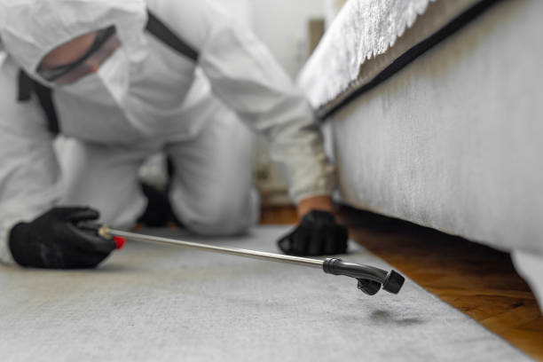 Professional Termite Control technician working in Shandon, CA