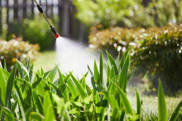 24/7 Emergency Termite Control experts in Shandon, CA